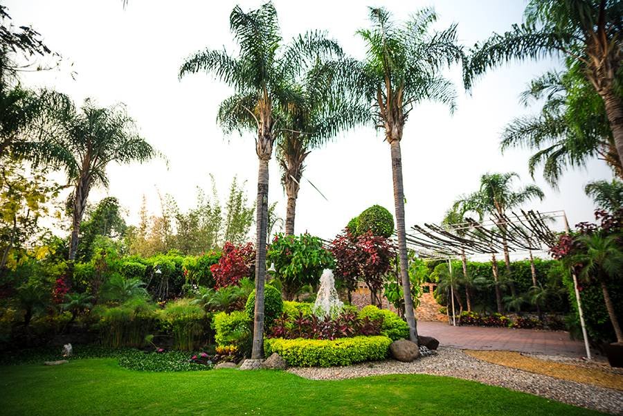 Finca paraiso