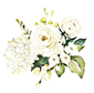flores secciones1
